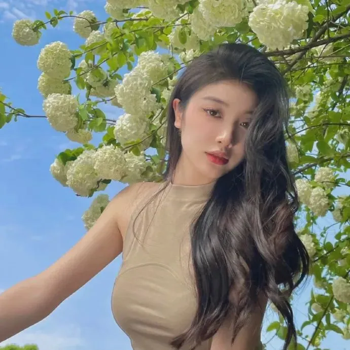 布达佩斯大饭店